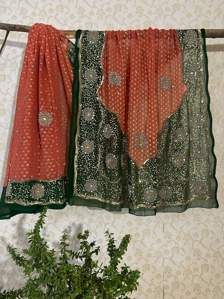 Aamrapali vintage saree