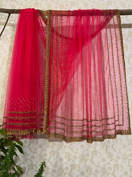 Ruby Rani Net saree