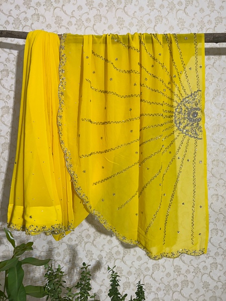 Vintage fan pallu saree