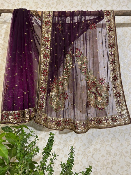 Twilight Net saree