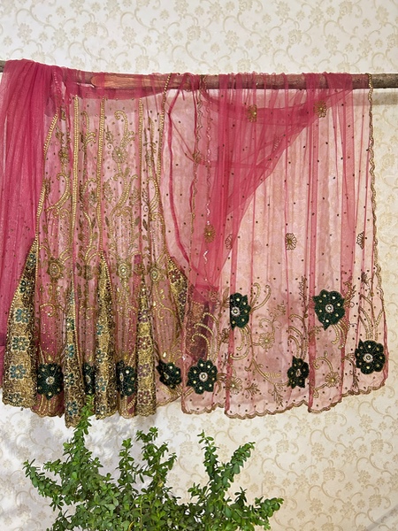 Pink pari lehenga saree