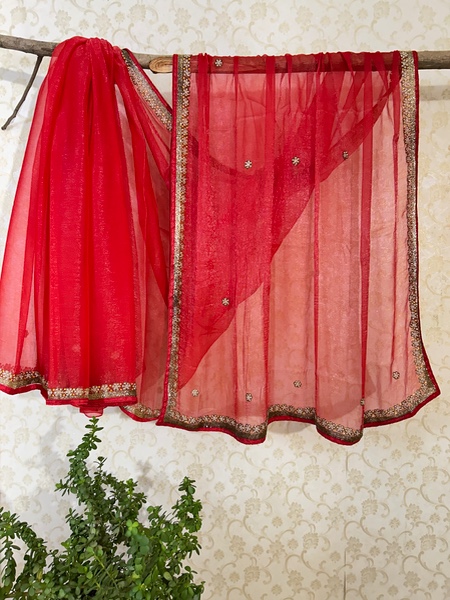 Husn organza tissue saree