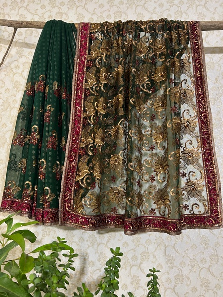 Zeenat Emerald Veil Saree