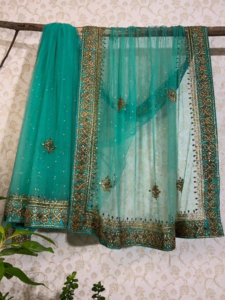 Aqua blue net stone and mirror work saree