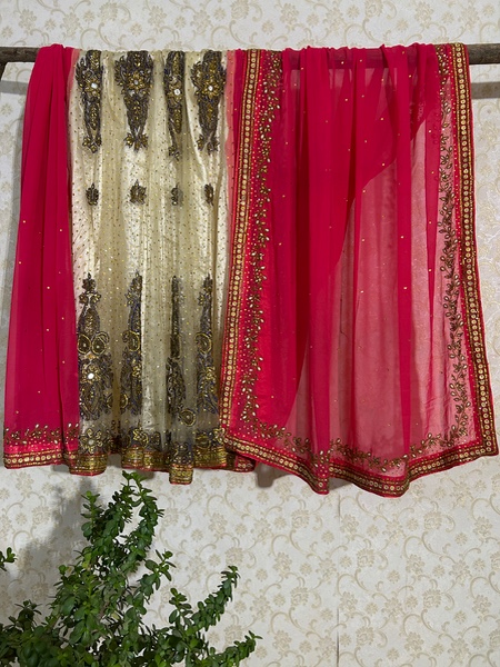 Rani Pop lehenga saree