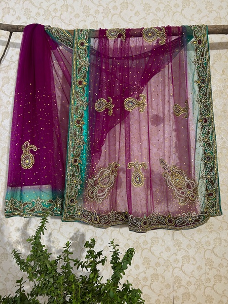 Pankhuri net saree