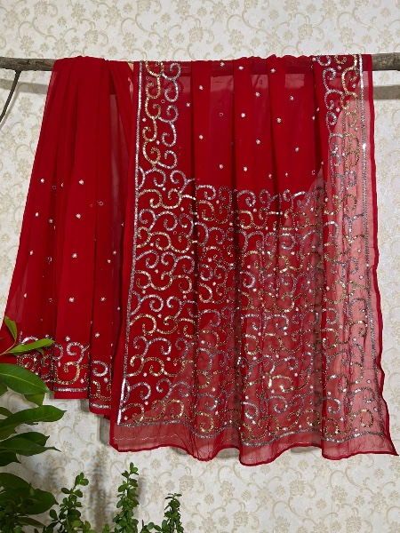 Red fully beaded vintage saree