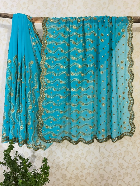 Neeli leher embroidered saree