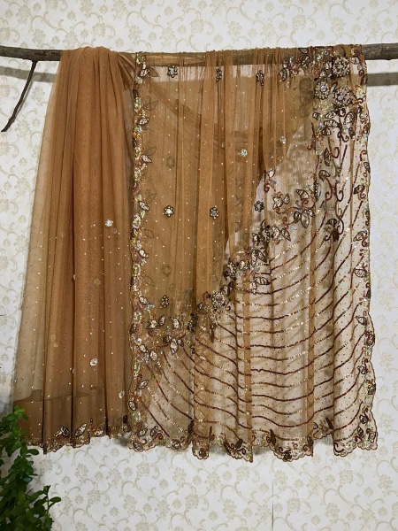Gold net saree with mirrors and 3D flowers