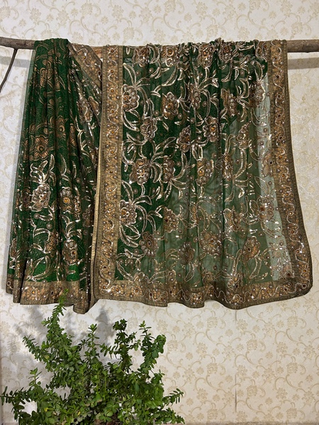 Gulbagh vintage saree