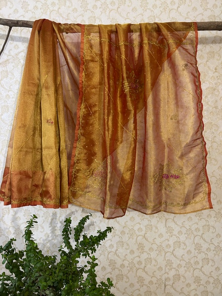 Tissue vintage saree