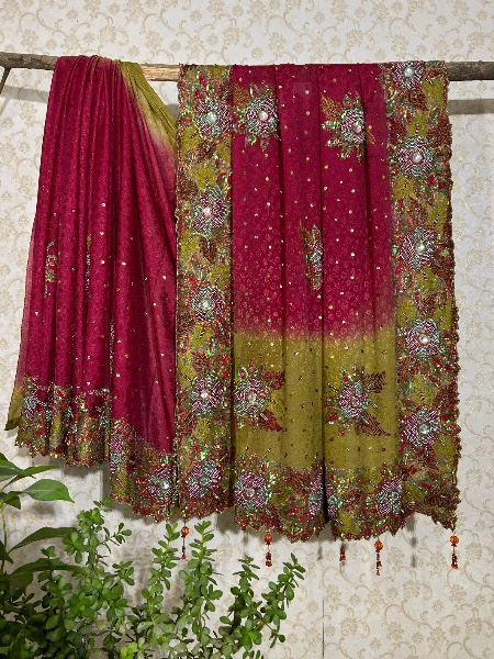 Ombre with beaded flowers saree
