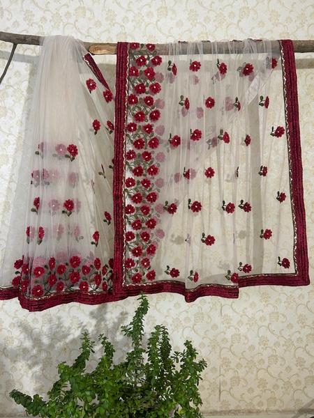 Madhuri net saree