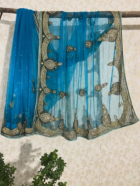 Neelanjali vintage net saree