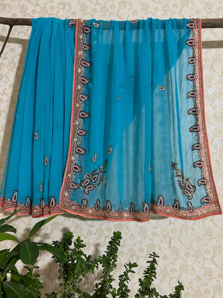 Neela Noor saree